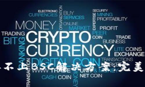 小狐狸钱包连接不上BSC解决方案：完美攻略与常见问题