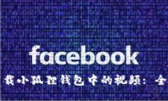 如何下载小狐狸钱包中的视频: 全面指导