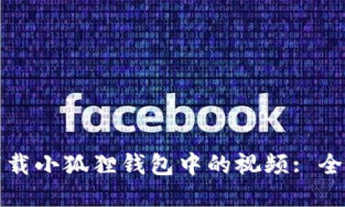 如何下载小狐狸钱包中的视频: 全面指导