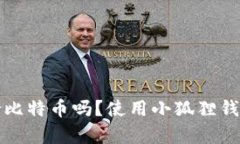 小狐狸钱包支持比特币吗？使用小狐狸钱包的优