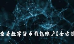 如何查看数字货币钱包账户？全方位指南