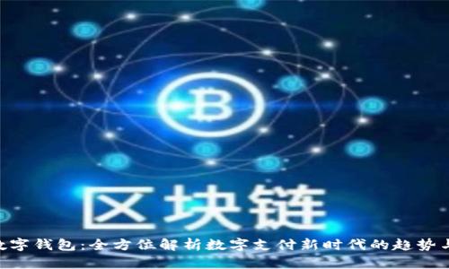 Pay数字钱包：全方位解析数字支付新时代的趋势与前景