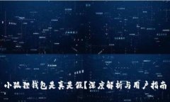 小狐狸钱包是真是假？深度解析与用户指南