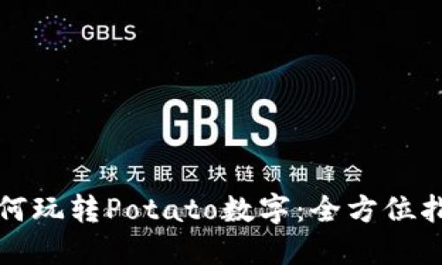 如何玩转Potato数字：全方位指南